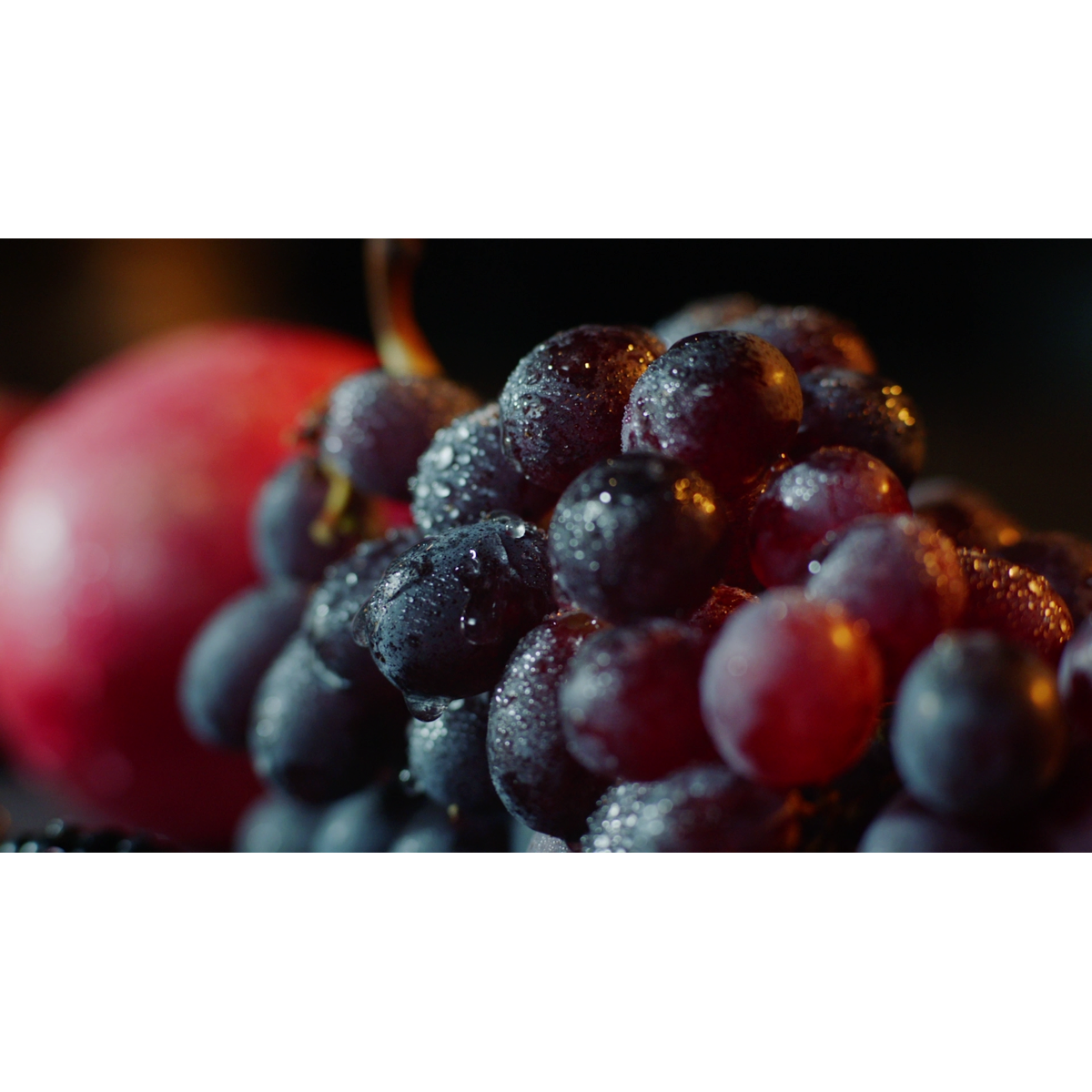 AEG - Iebūvējams ledusskapis ar saldētavu - SCE819E5TS