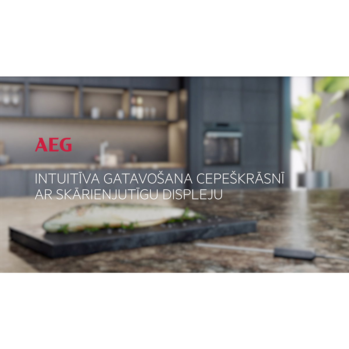AEG - Cepeškrāsns ar pirolīzi - BPE748380M