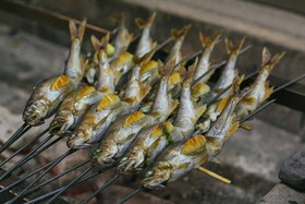 Dažādu zivju grilēšana uz oglēm